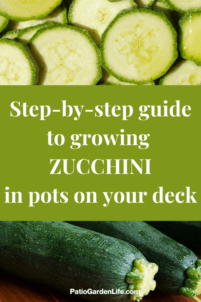 light green zucchini slices and dark green whole zucchini - overlay text step-by-step guide to growing zucchini in pots on your deck