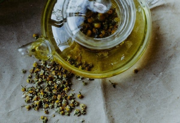 how to grow chamomile in pots to make tea in a glass kettle