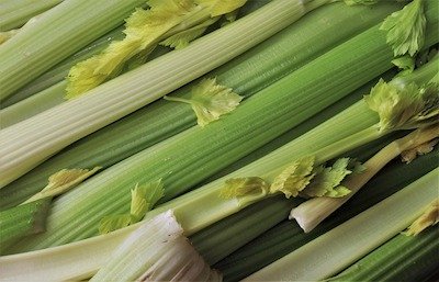 Growing celery in pots