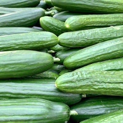 Dark green slicing cucumbers - how to grow in container garden