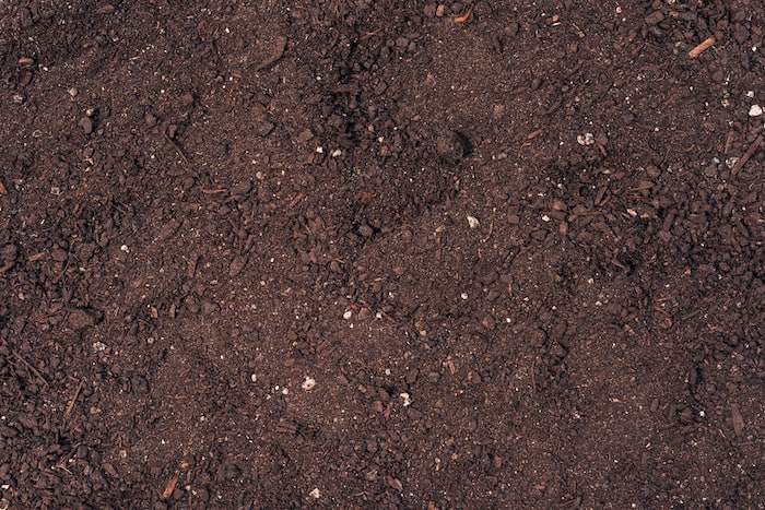 Closeup of brown potting soil mix