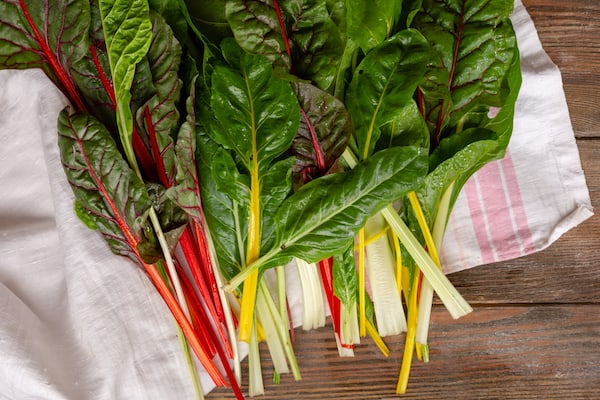 Dark green swiss chard leaves with brightly colored red, orange and yellow stems