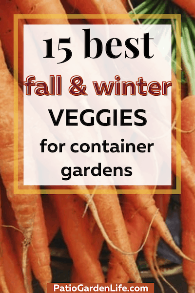 Orange carrots in a pile with overlay text "15 best fall and winter veggies for container gardens"