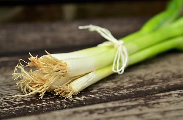 Light green onions with white tips in a bundle tied with string, on a wood table 