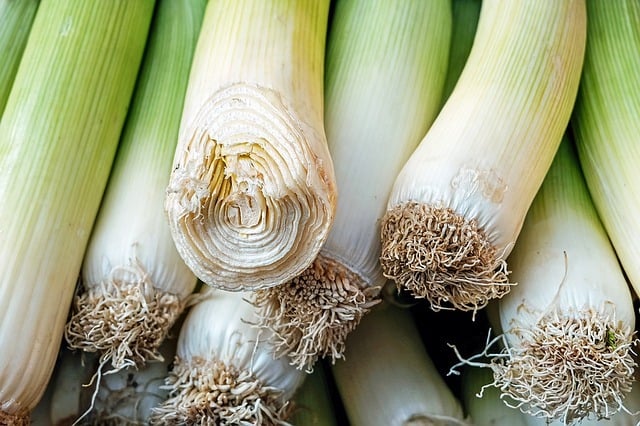 Light green leeks with white bases and brown roots 