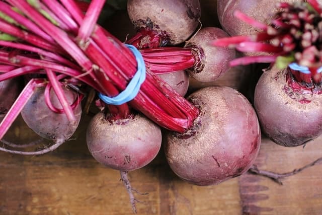 Dark red beets on bright red stalks in a bundle with a rubber band - fall and winter vegetables for container gardens