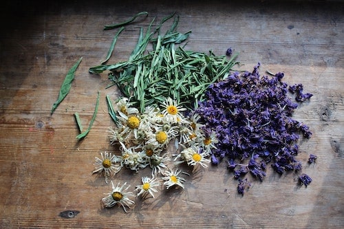 basil, chamomile and violet herbs drying on a wood table