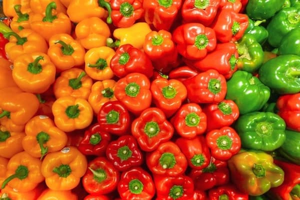 Bright orange, red and green bell peppers from the Dirty Dozen list