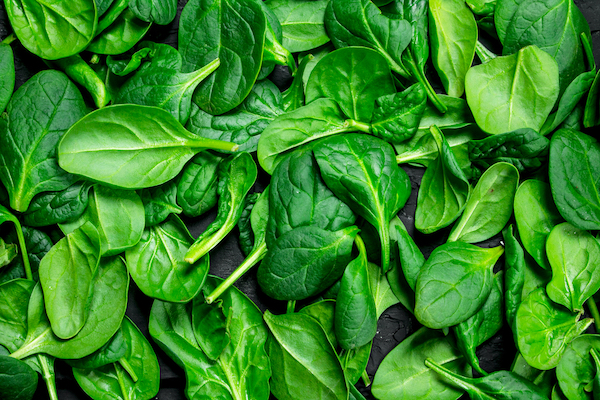 Bright green spinach leaves in a pile