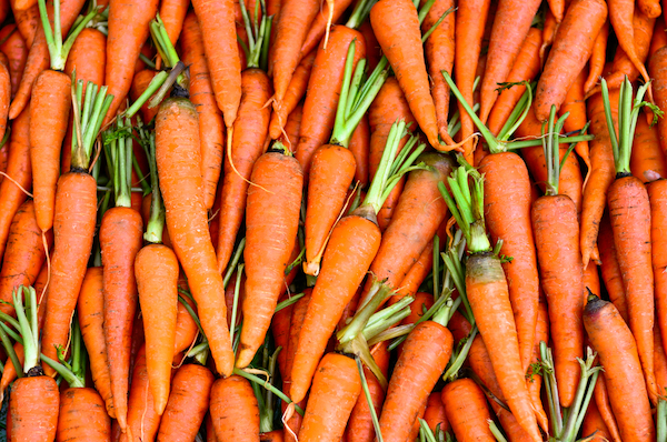 Pile of bright orange carrots with green stems clipped close to the root